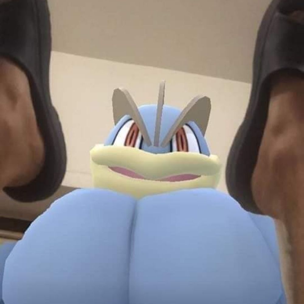 Closeted Gordito
