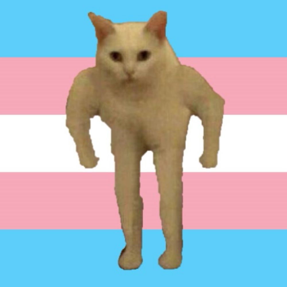 toni “flora” strongcat