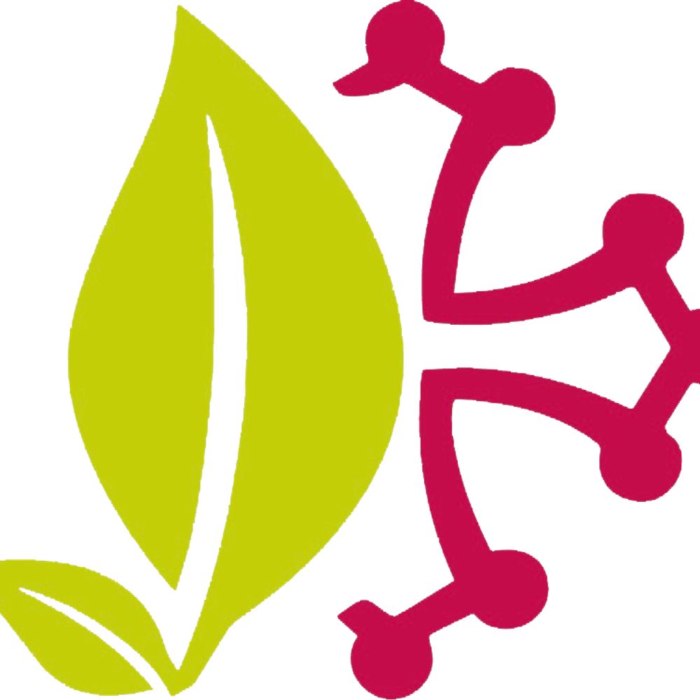 Elu.es socialistes Toulouse