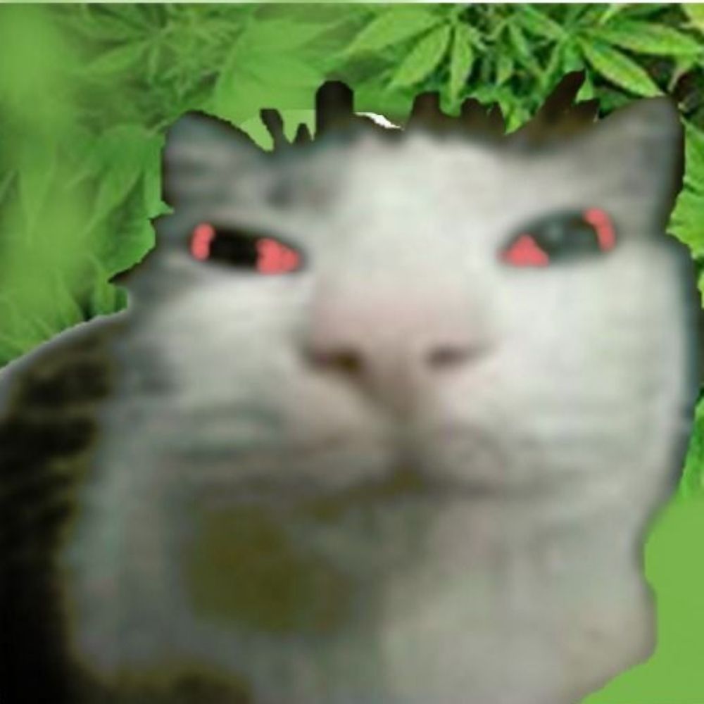 Nerri
