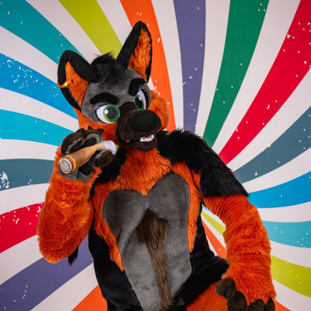 Buster 🔜 FurPoc, ANE