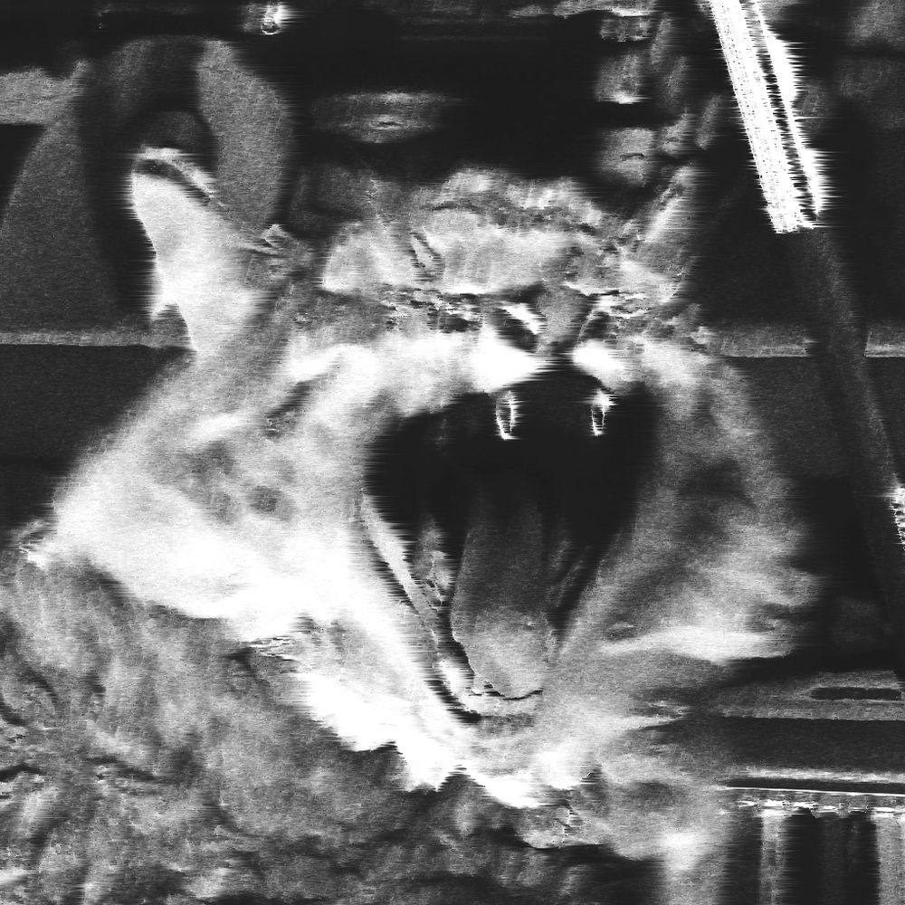 Bugland