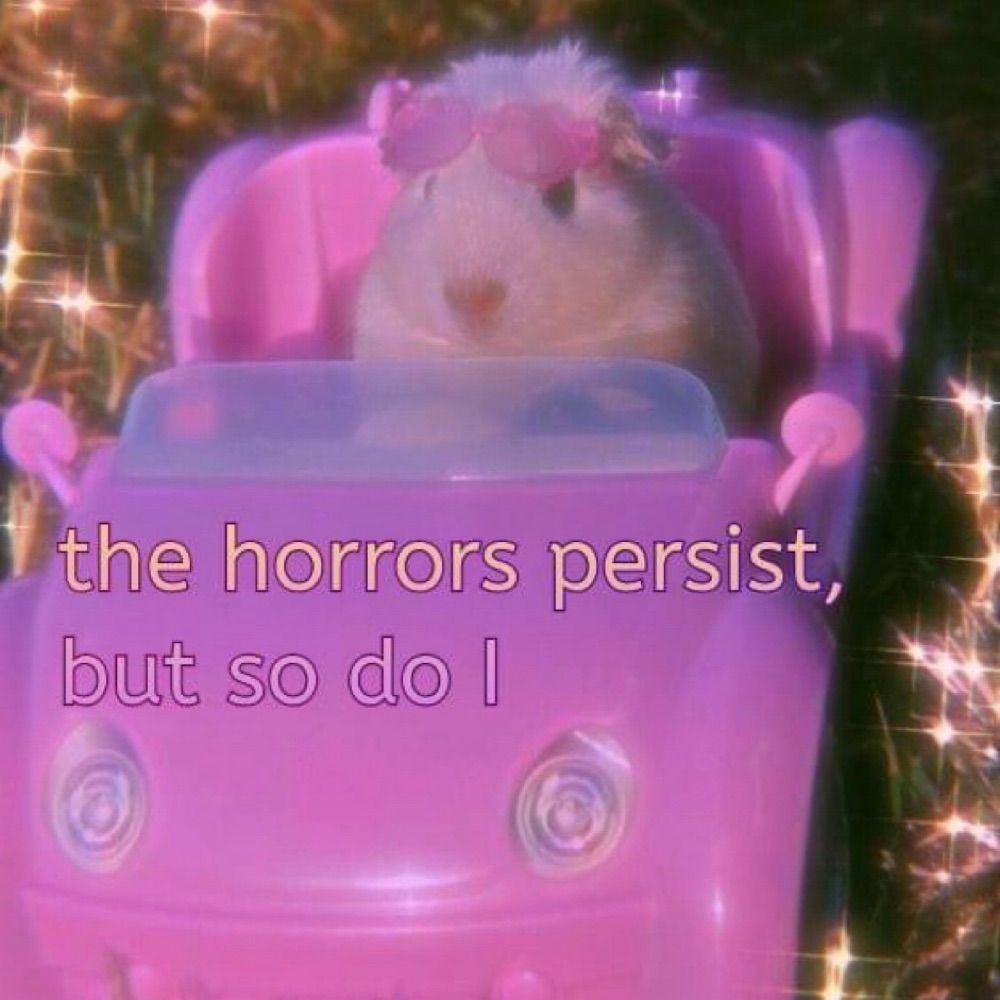 scarygordita ☭