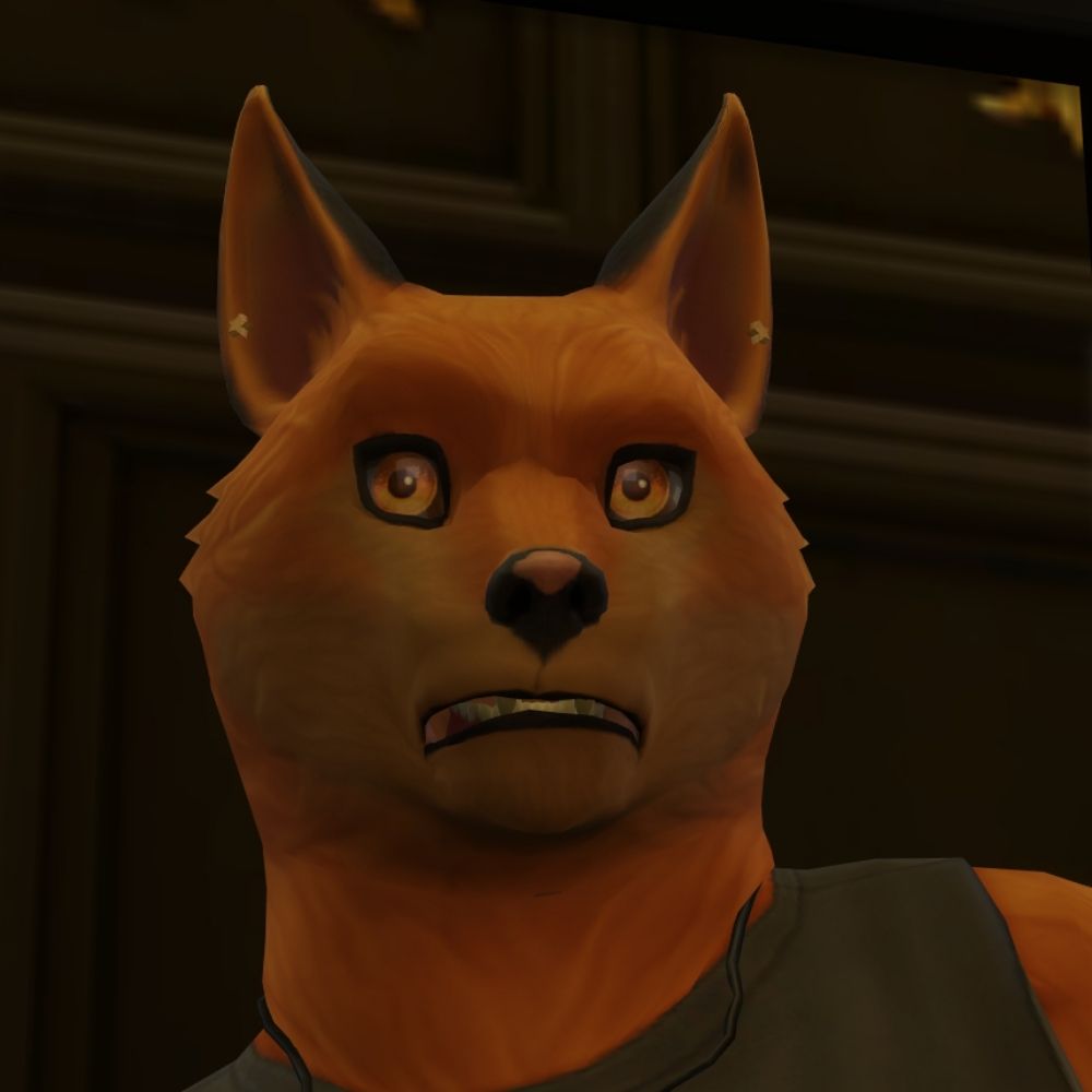 CvpakkeVulpes