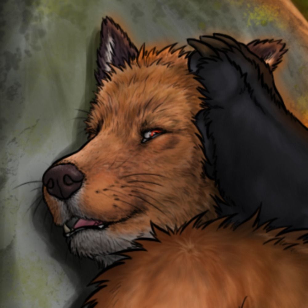 Locked Fox