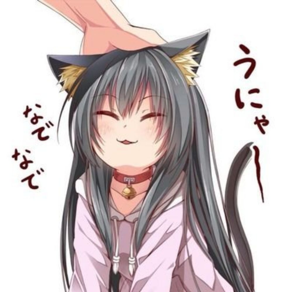Sarah is a cat 🏳️‍⚧️