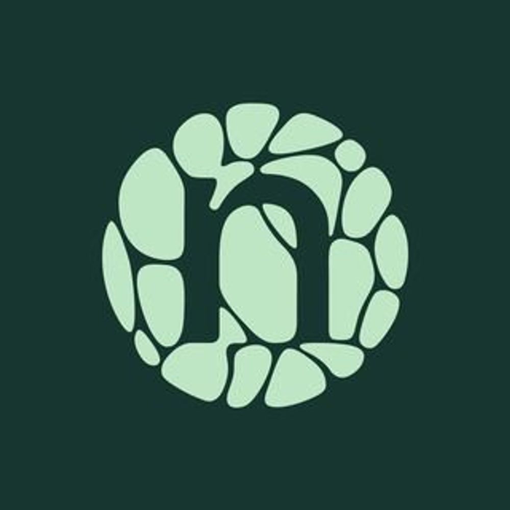 Novonesis