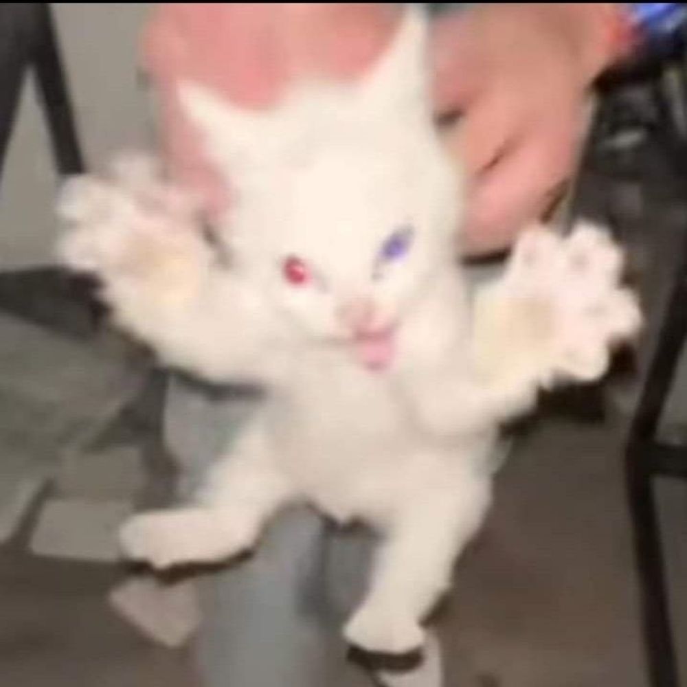 ??   