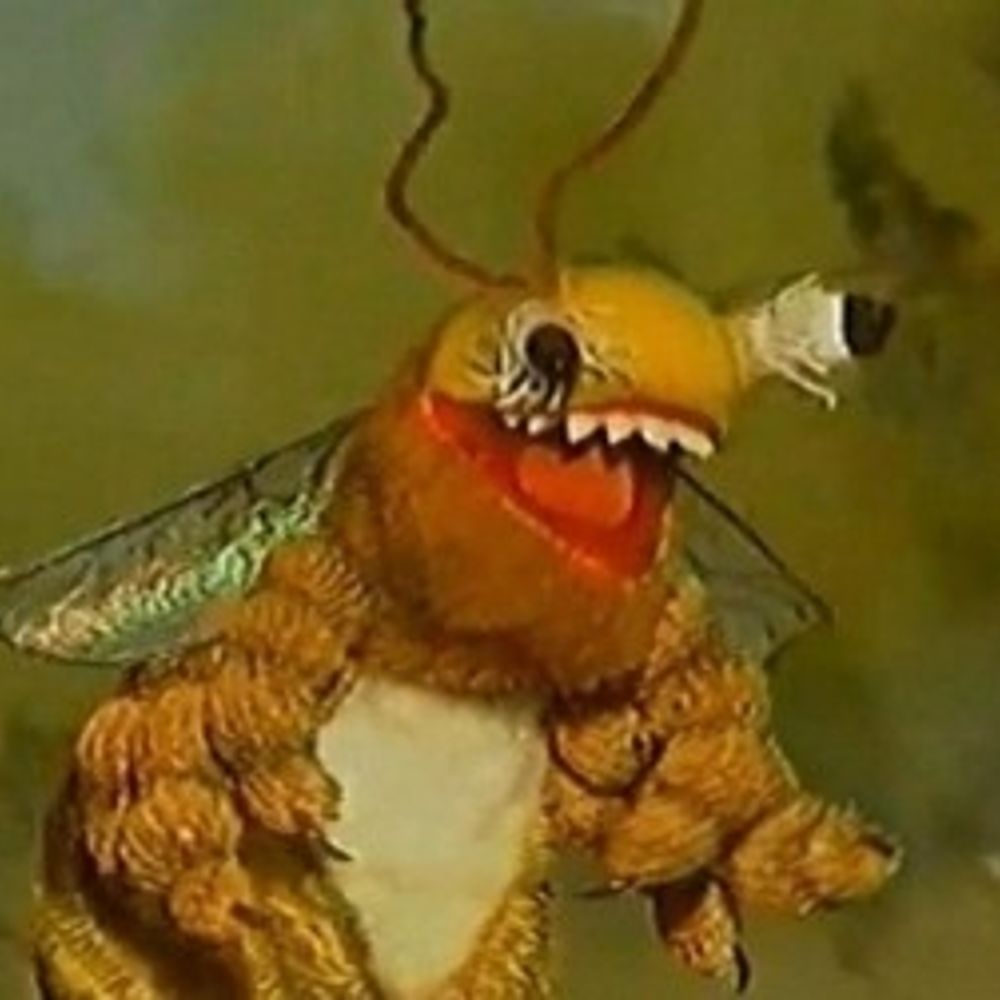 Bee from the Fool's village 