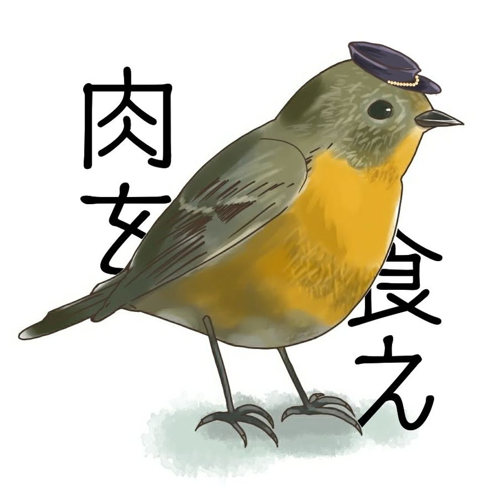 コウ🦉