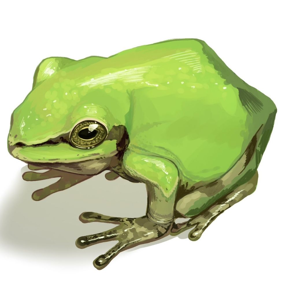 茉（絵の練習）