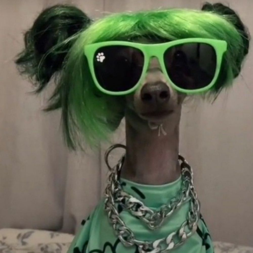 𝓜𝒶𝒻𝑒𝓇
