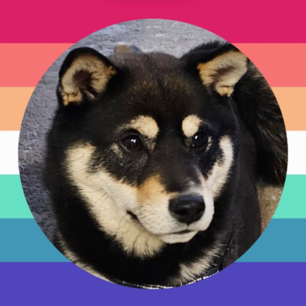 🌈 DOG !! 🐾