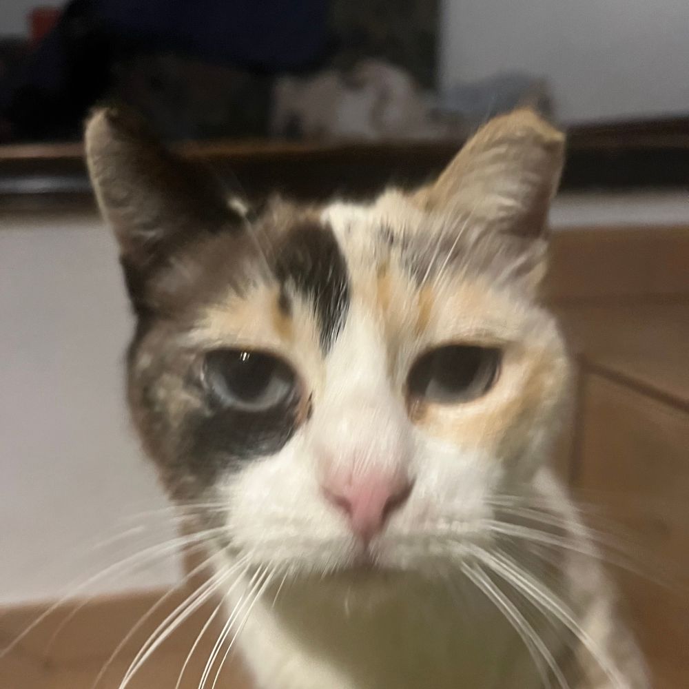 Sra Pimienta