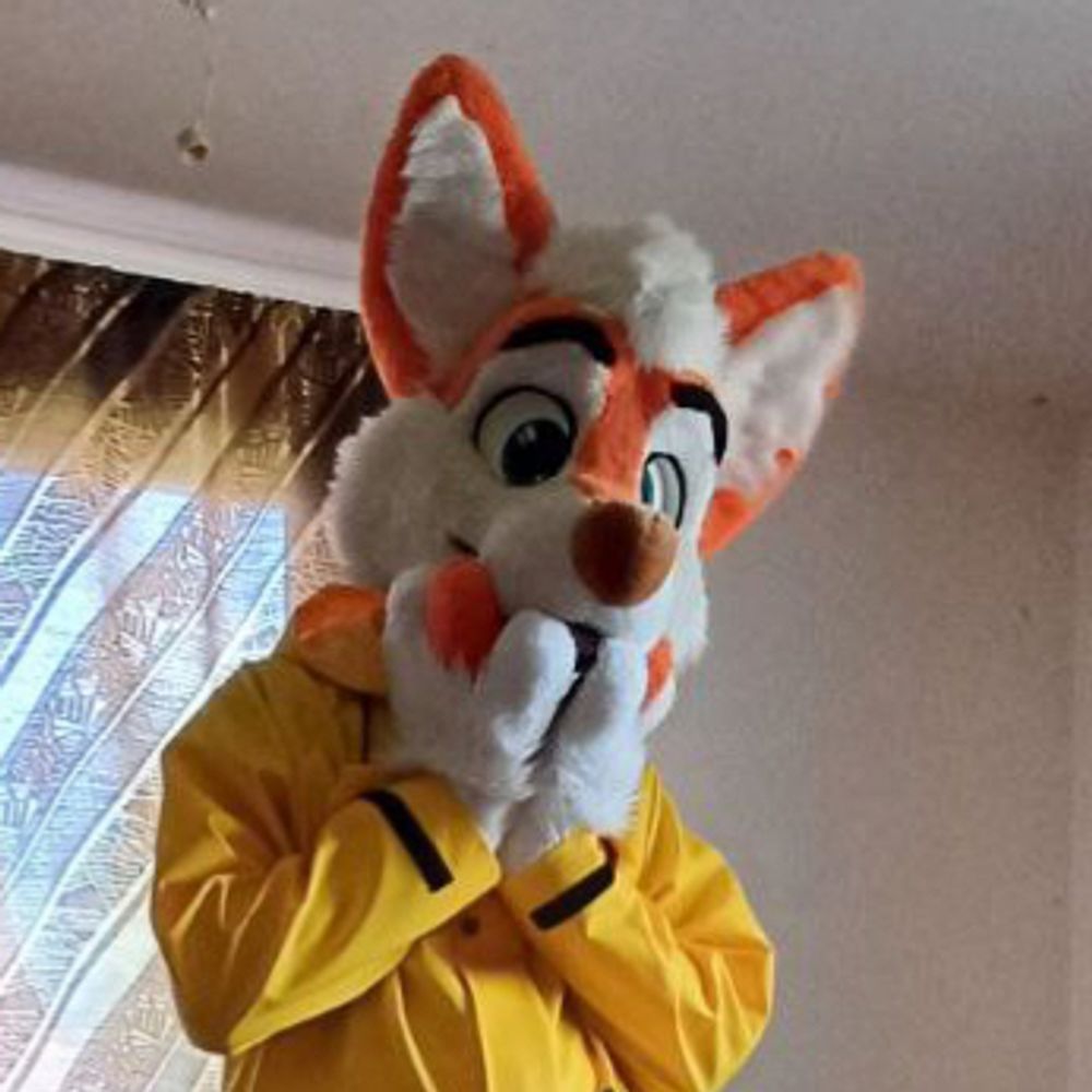 MAjKy_Husky