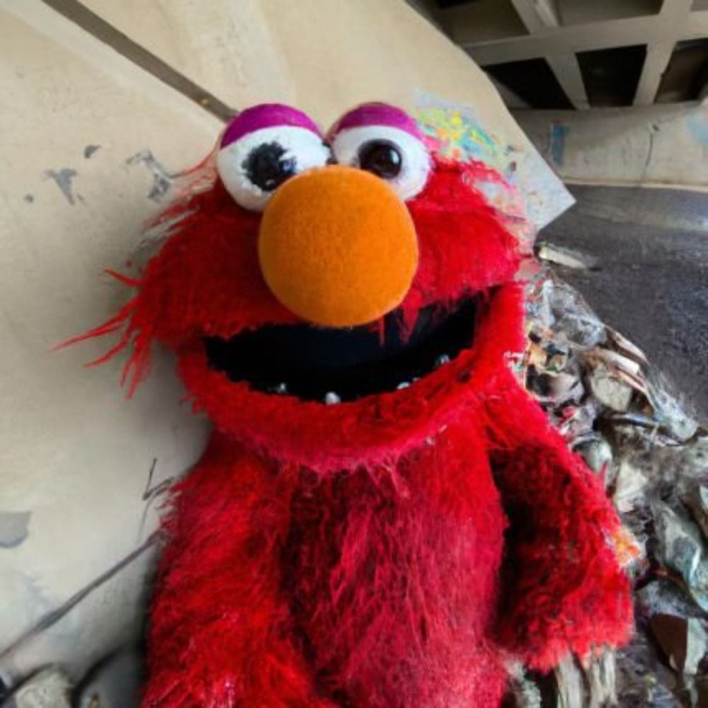 Elmo ⊃ {😎, 🧠, 6'5, 🚴‍♂️}