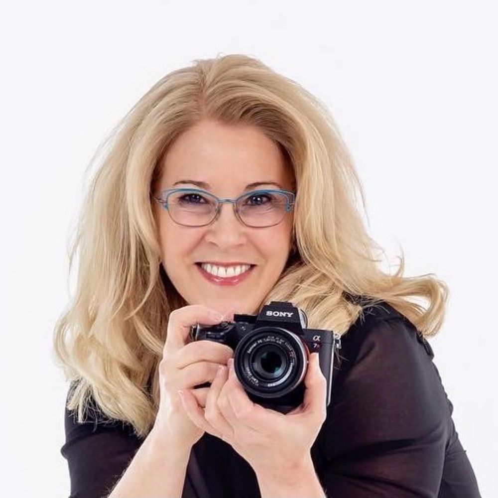 Liz Schneider-Cohen Photography