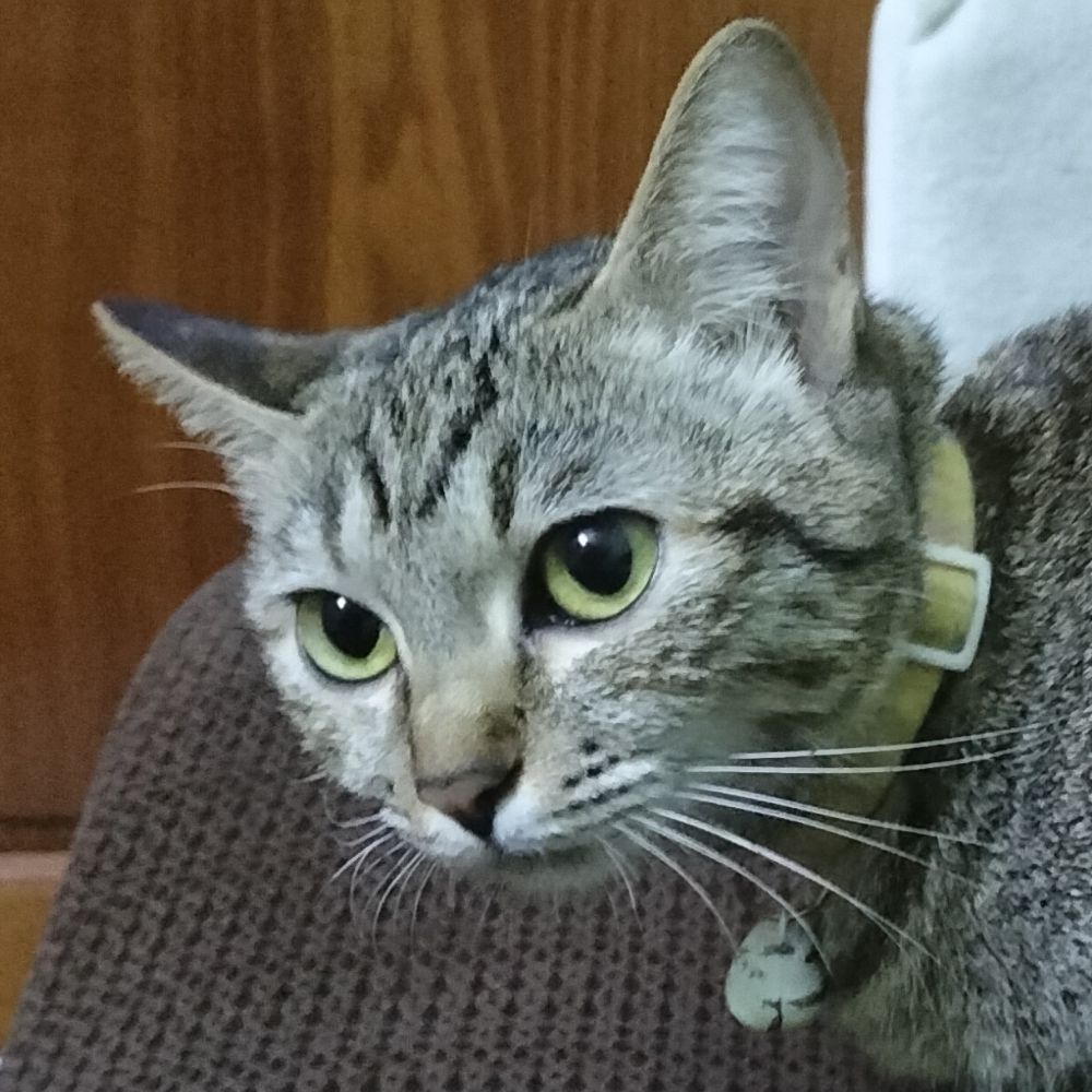 𝐂𝐢