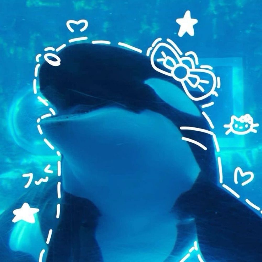 𝐀𝐧𝐧𝐚 🐳🦊