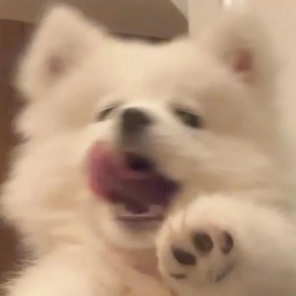 陈三斤