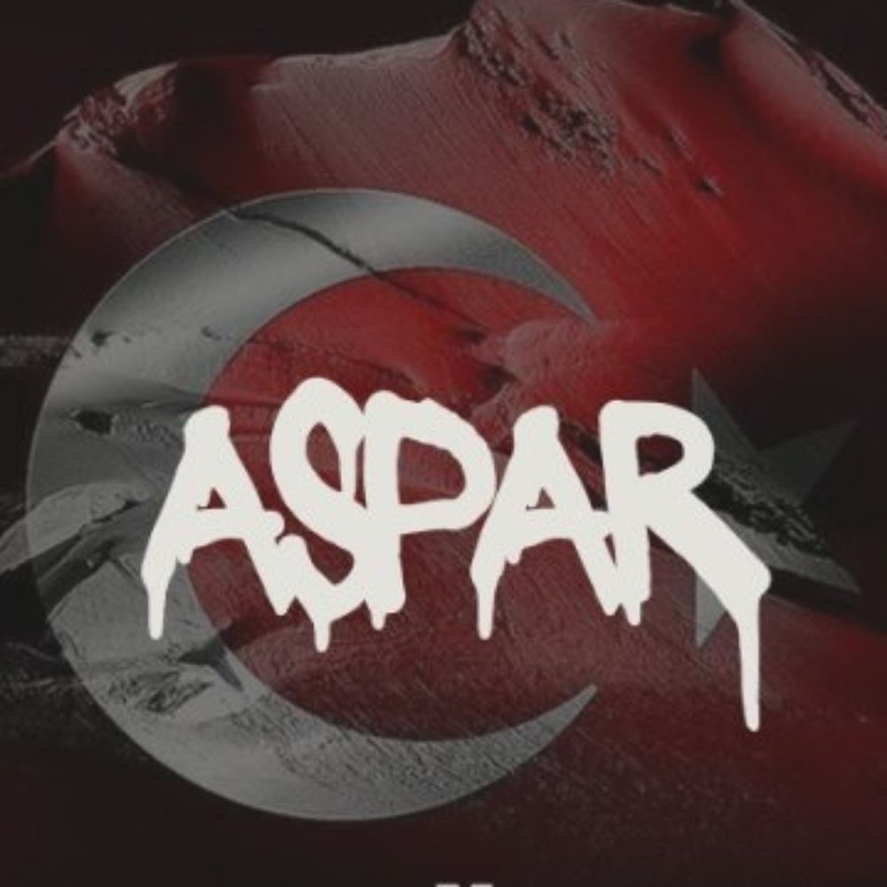 𝘼𝙨𝙥𝙖𝙧 𐱅𐰇𐰼𐰚 🇹🇷