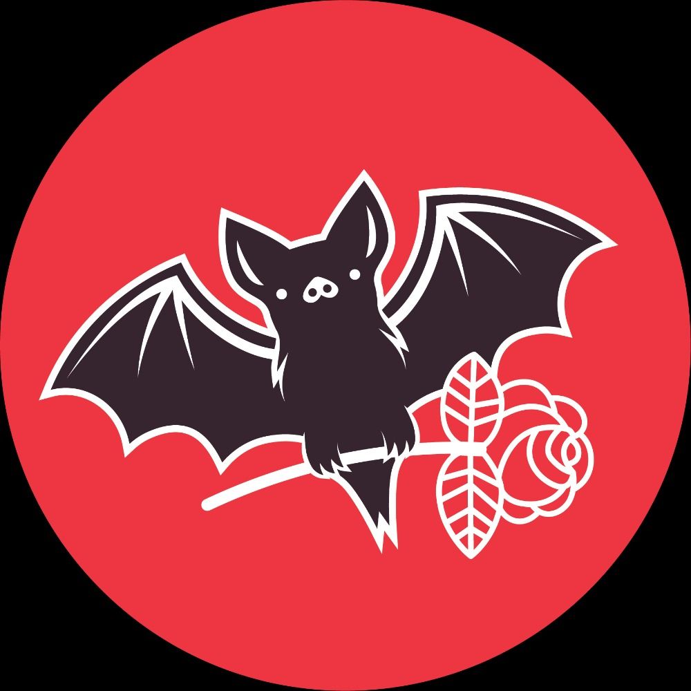 Austin DSA