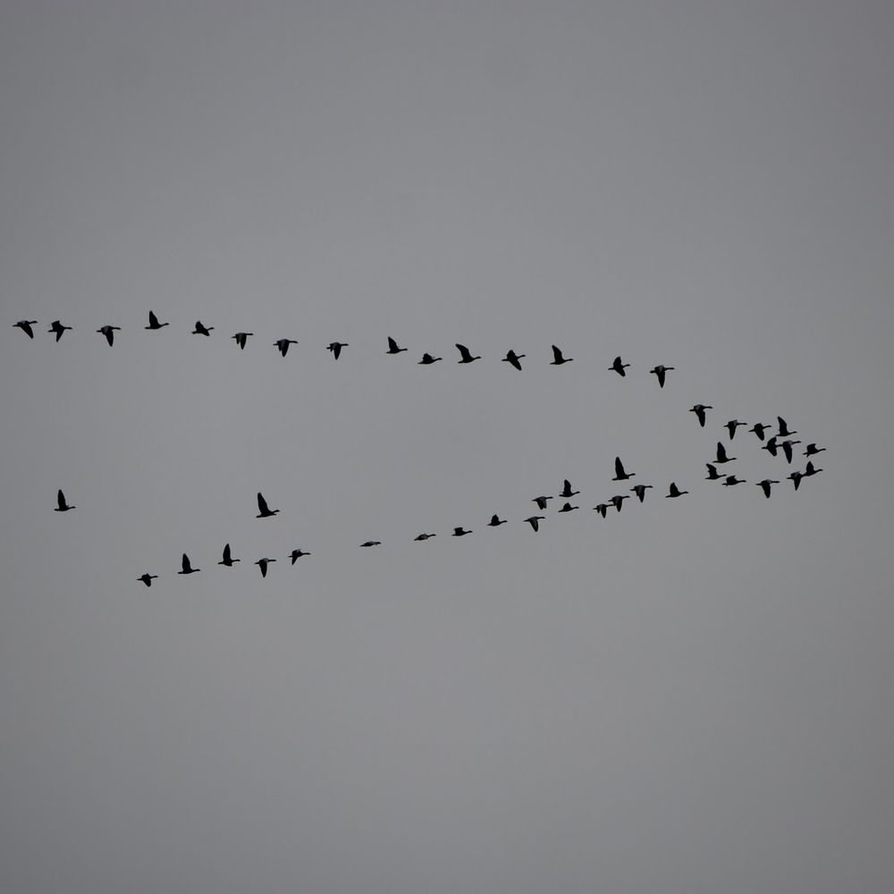 Sefton Nature