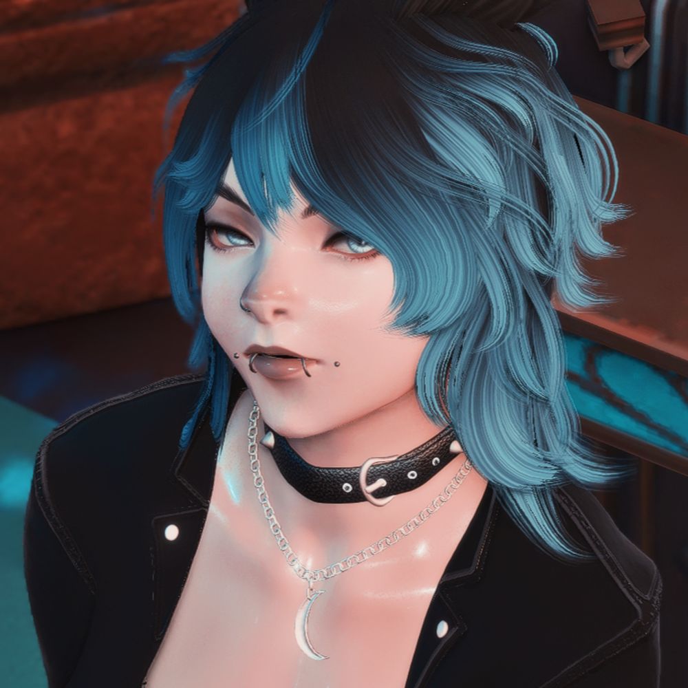 Nova XIV