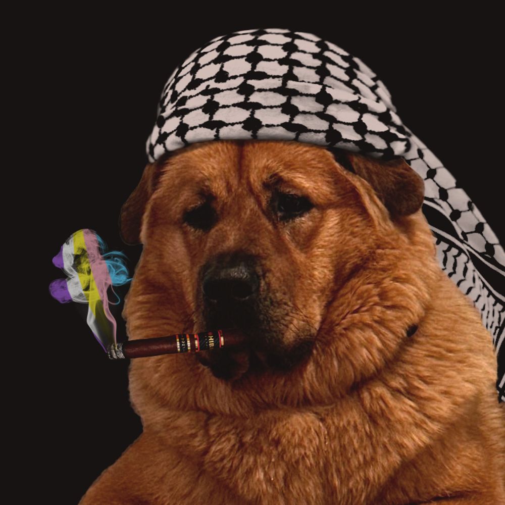 Kayayayeah 🇵🇸 