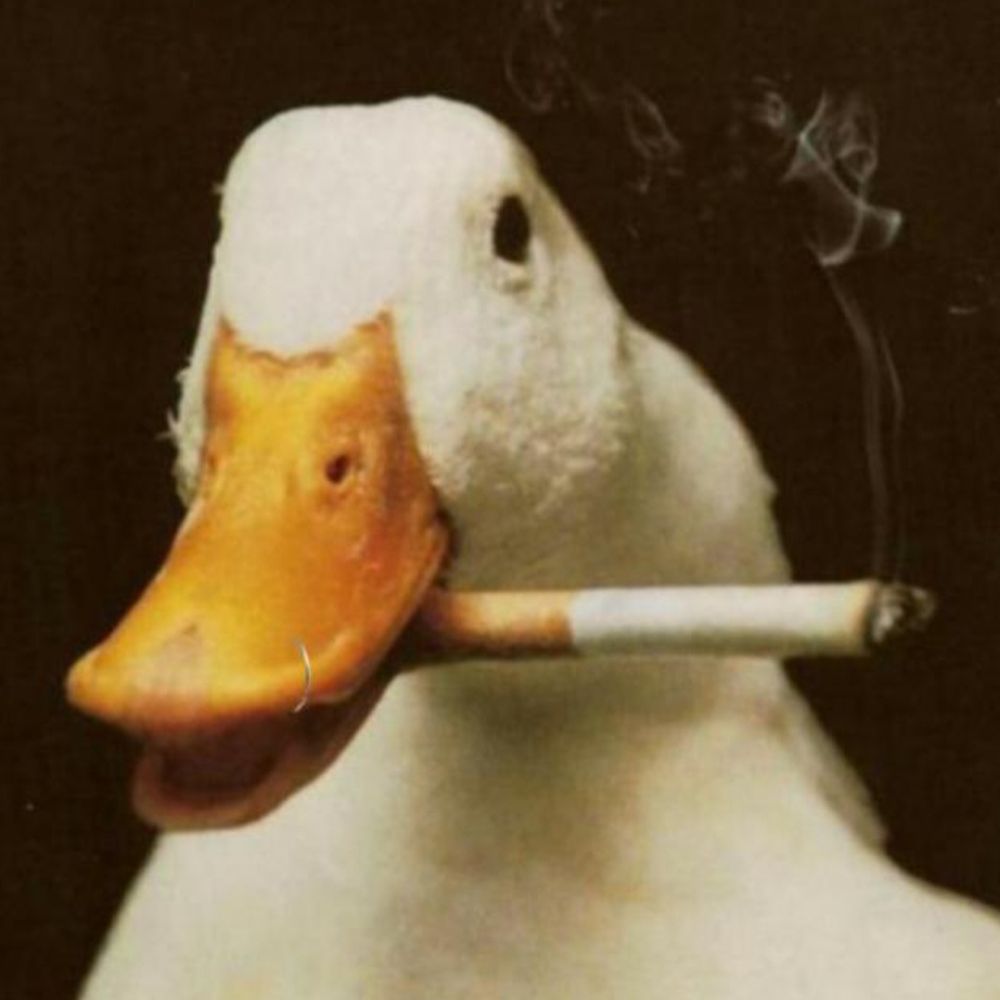 pato