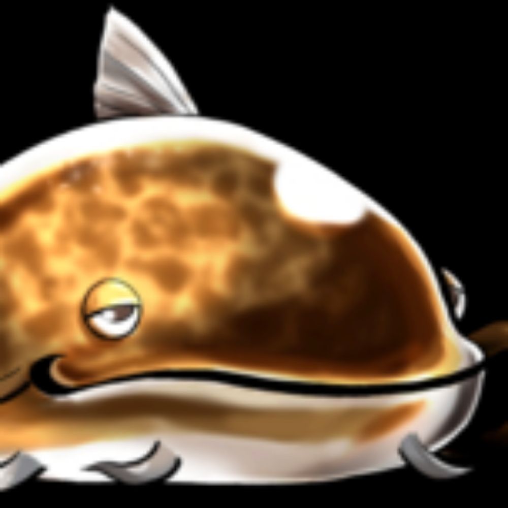 Giant Catfish