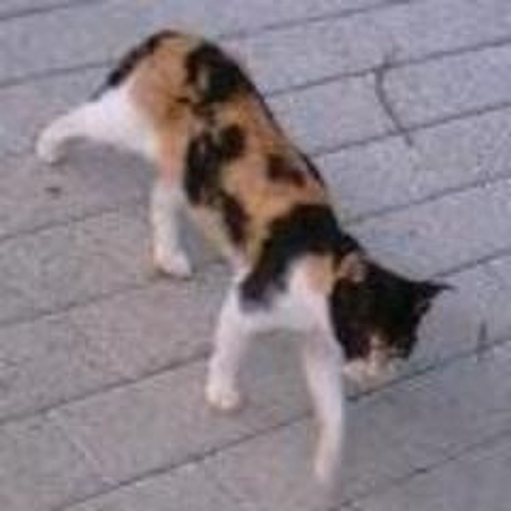 at