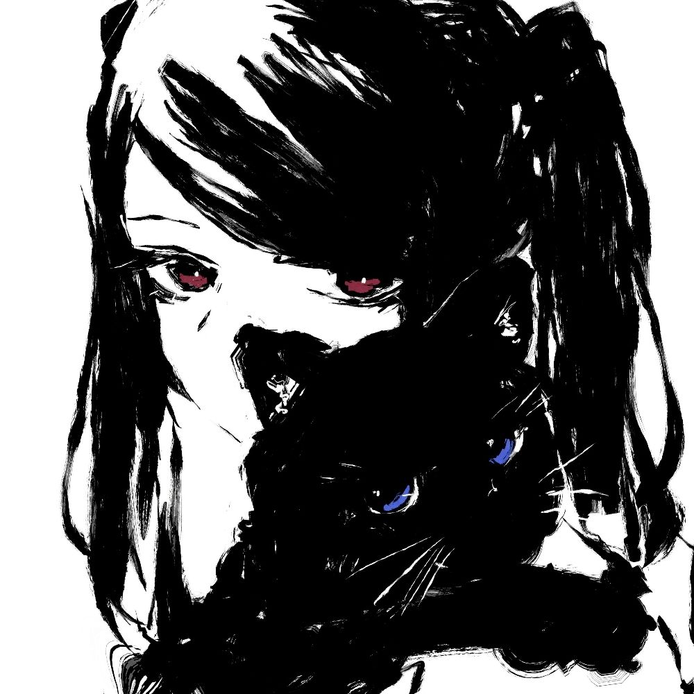 Chaosioner