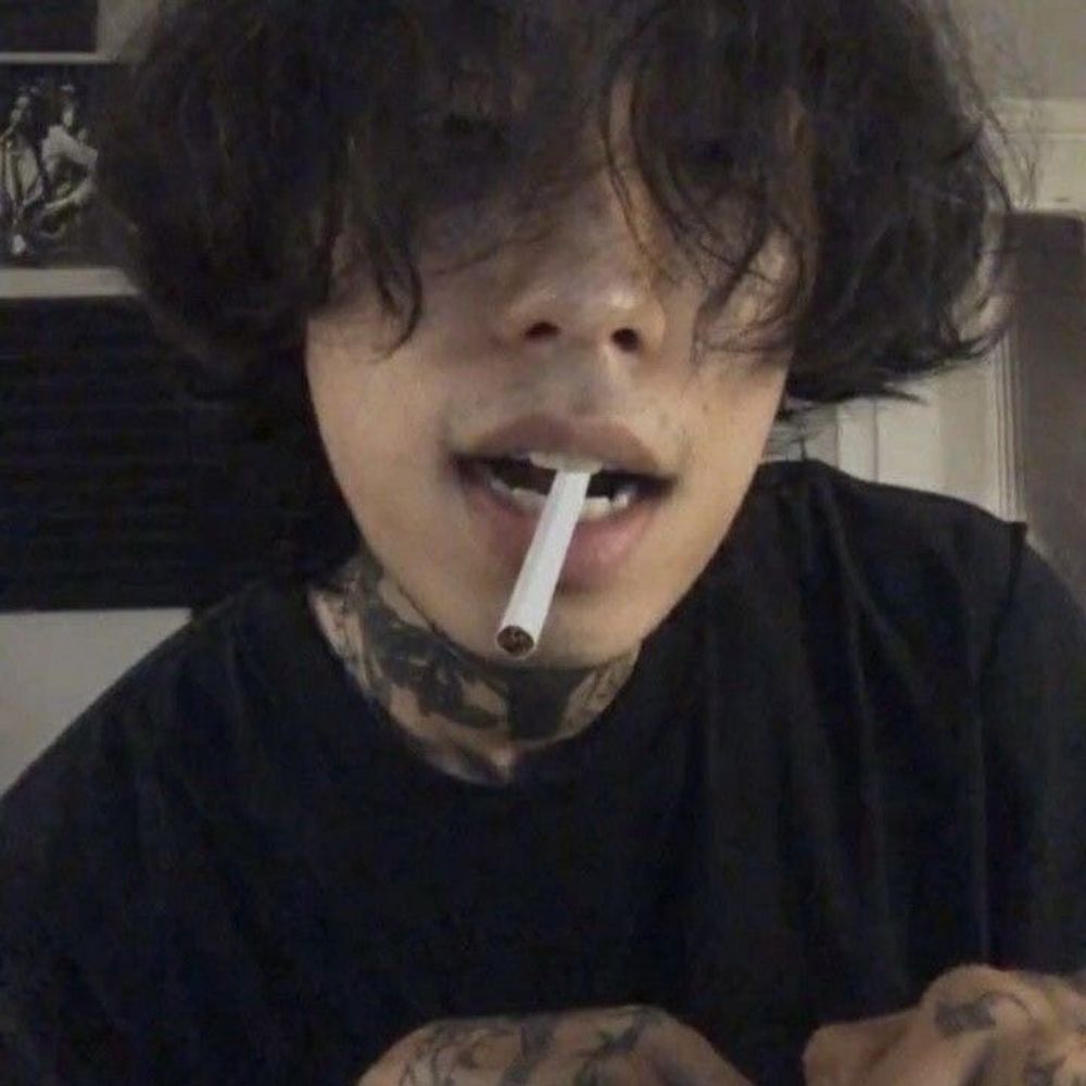 s.v 