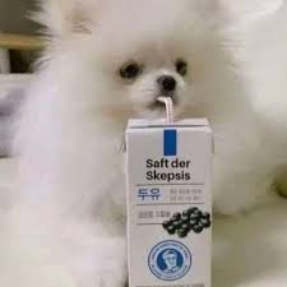 pompom