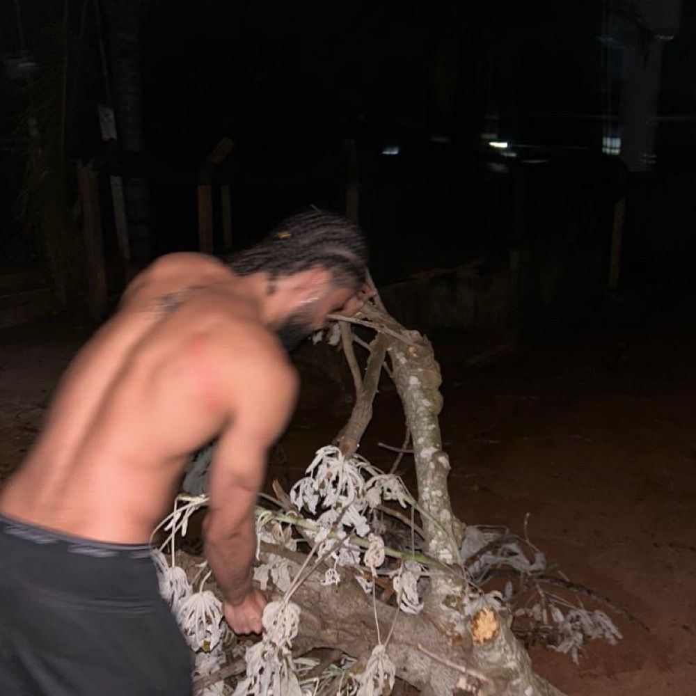 Bad Bunny Brasileiro