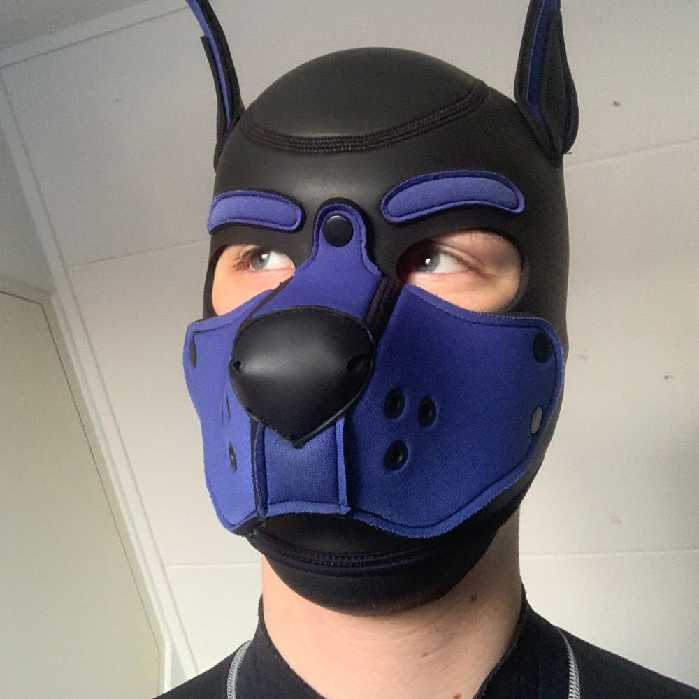 Pup Ursus