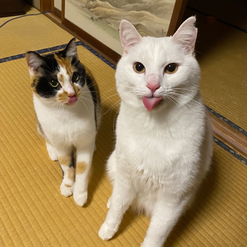 ニネ