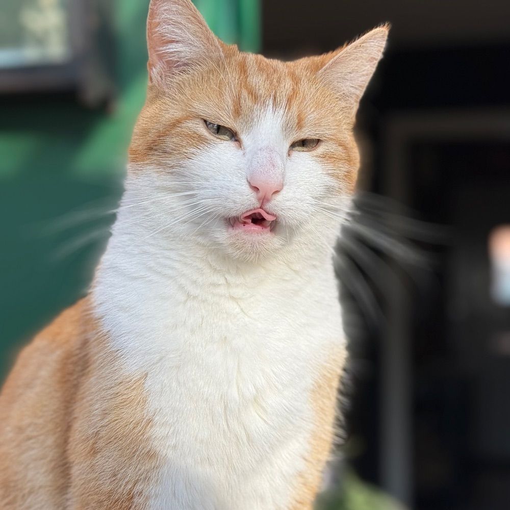 Max