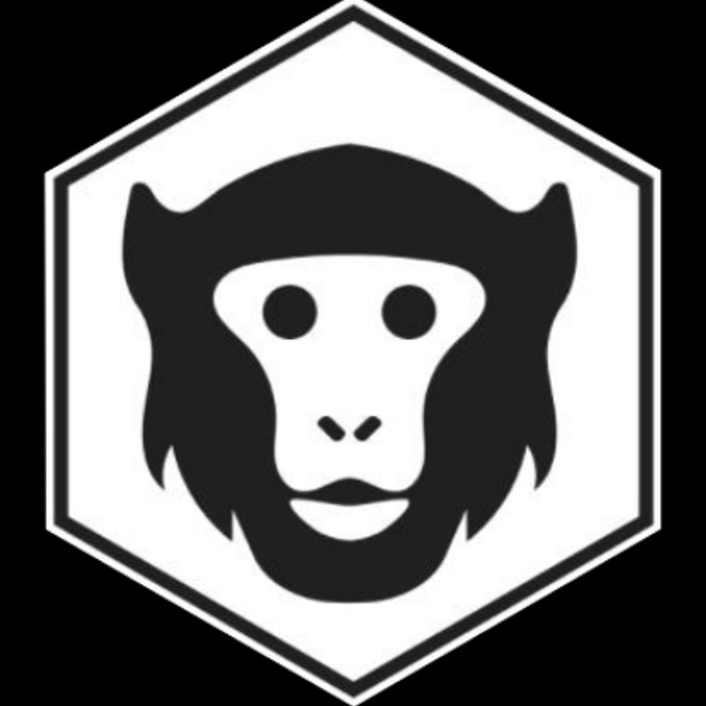 Dice Monkey l Johanna