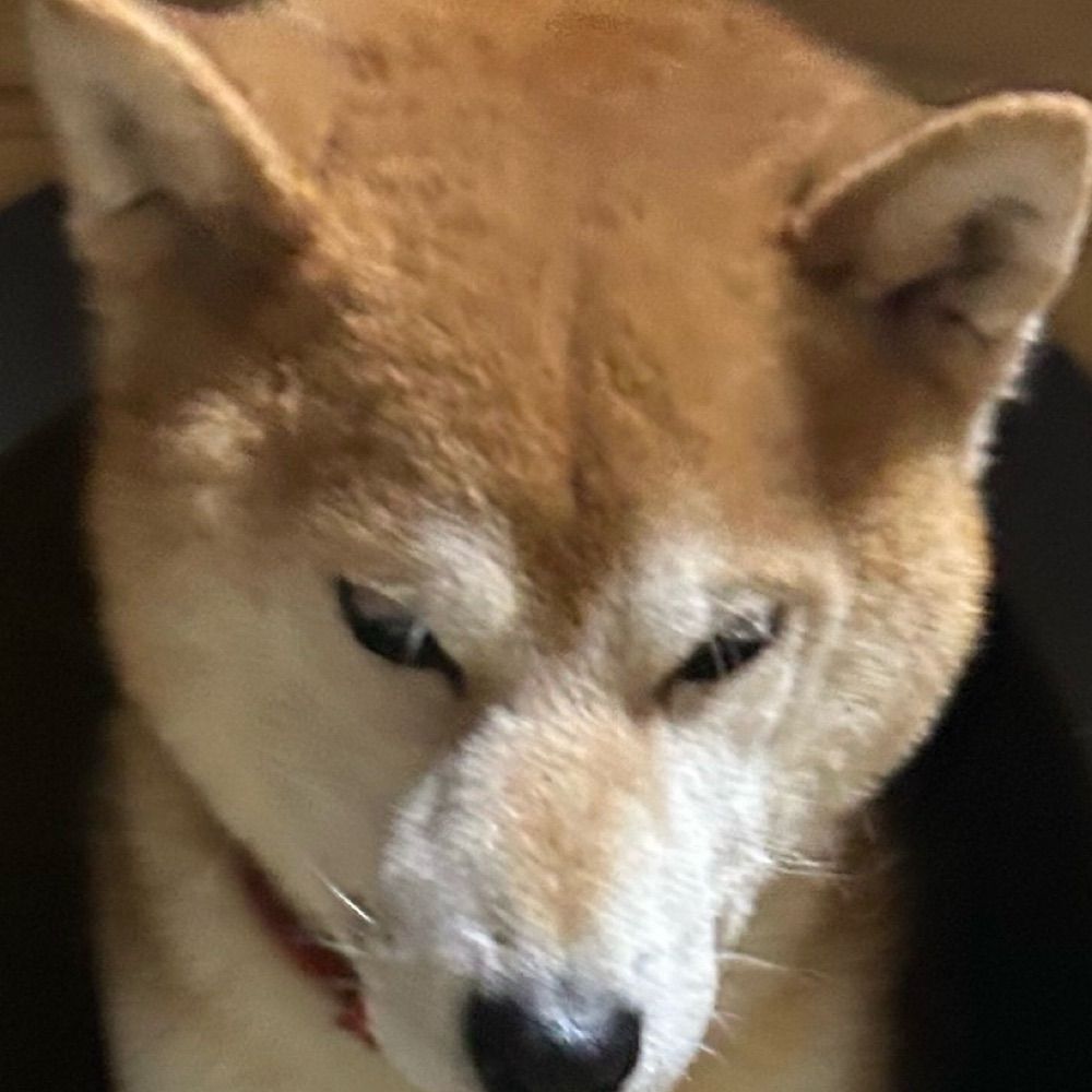 つ、が