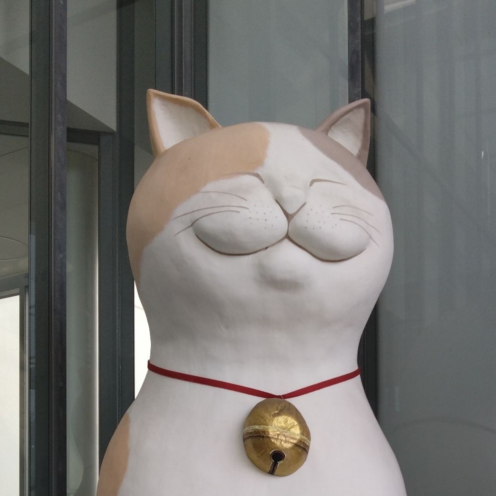 ネコオ