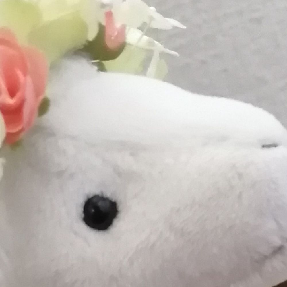 すたぱか