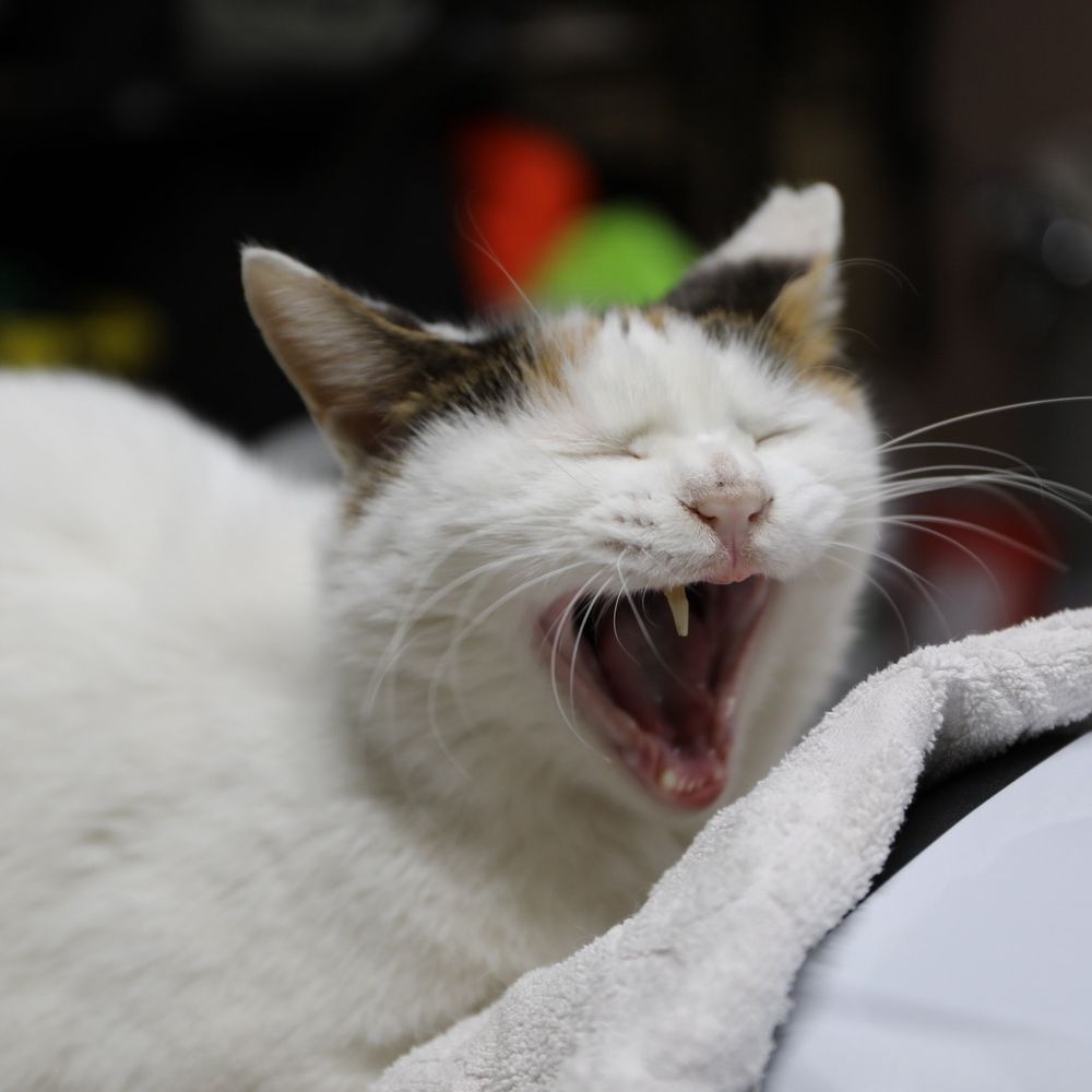 まさくん