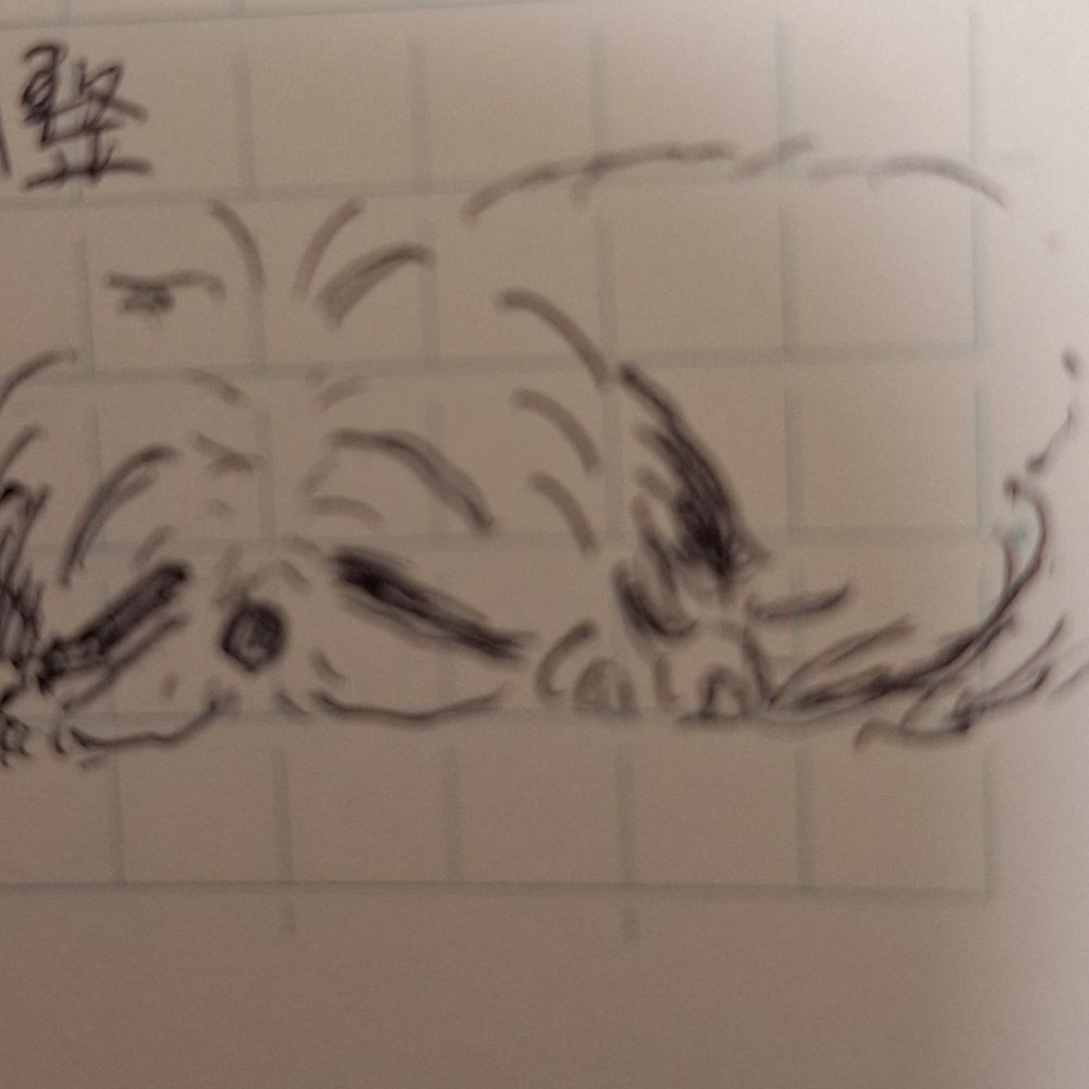 しろい大宇宙