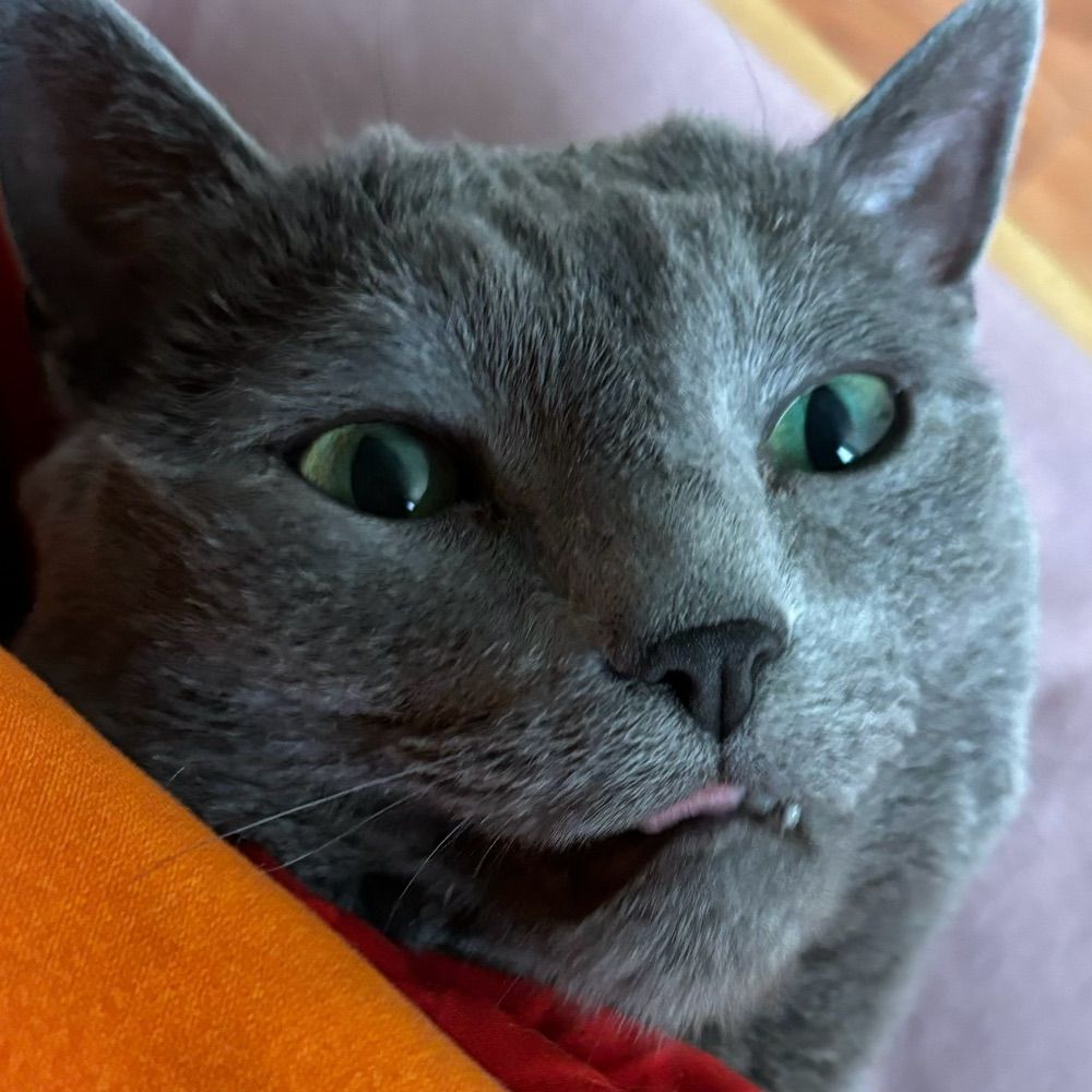 grubb