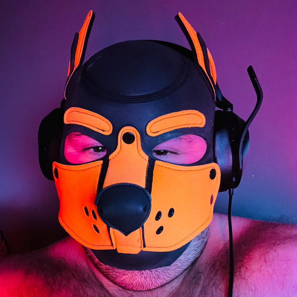Pup Pumpkin