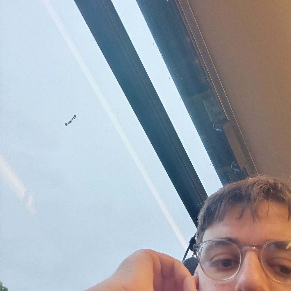 Matt