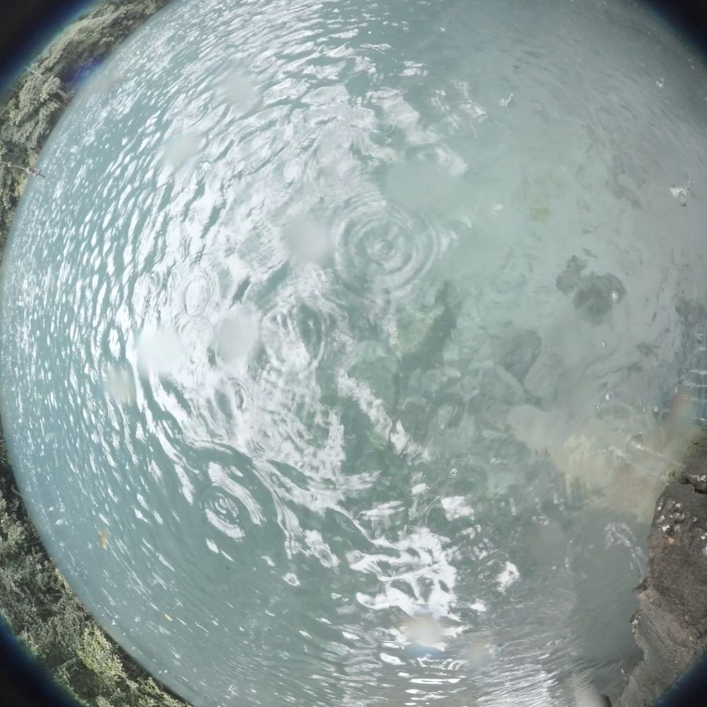 Astro Ecologies