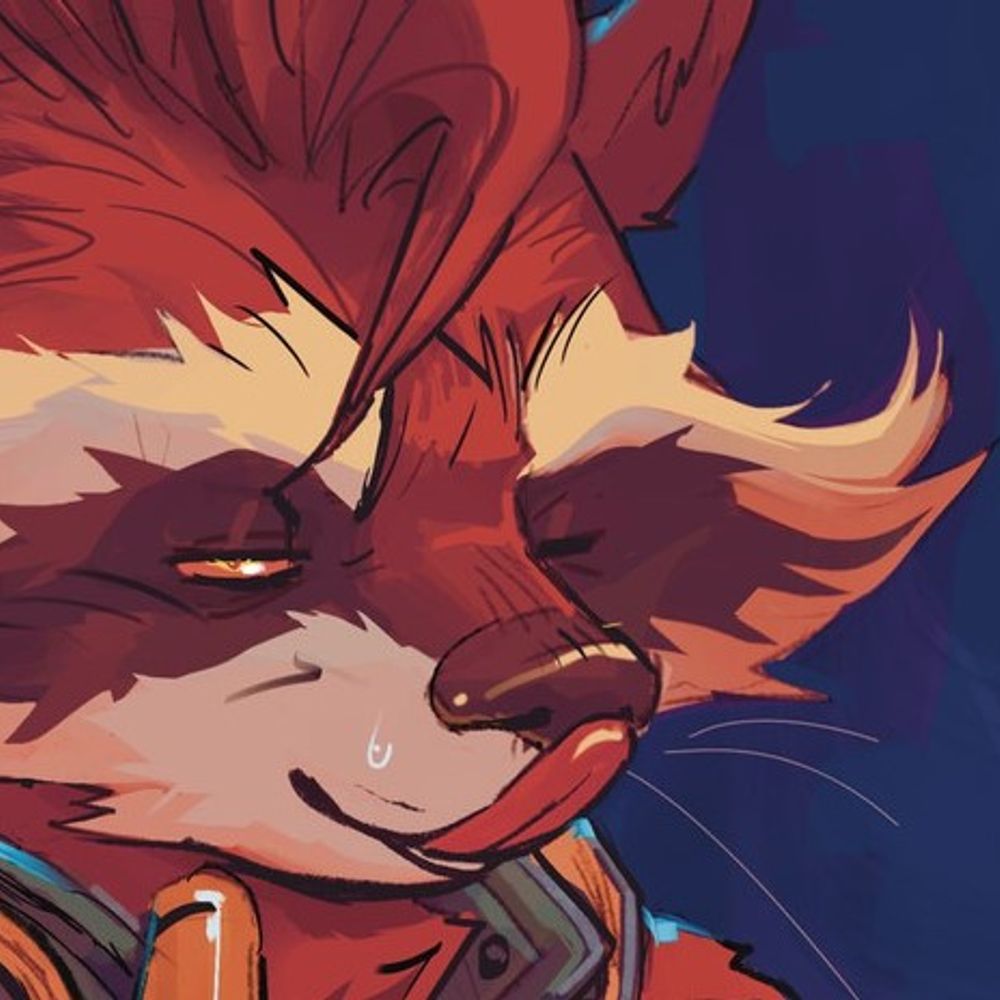 ＮＯＴ Ａ ＲＡＣＣＯＯＮ ！